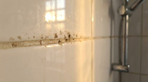 discover how the popular 'spotless in 5 minutes' bathroom cleaning routine can damage your grout and cause that musty smell in your home. learn safer cleaning tips to keep your bathroom fresh and intact.